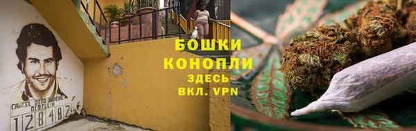дмт Арсеньев