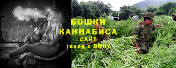 дмт Арсеньев