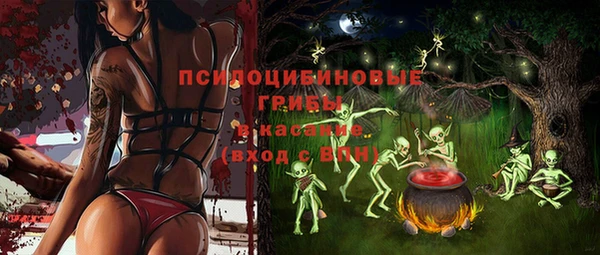 МДПВ Аркадак